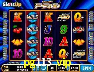 Ofertas Imperdíveis na pg113 vip: Promoções e Bônus Que Valem a Pena